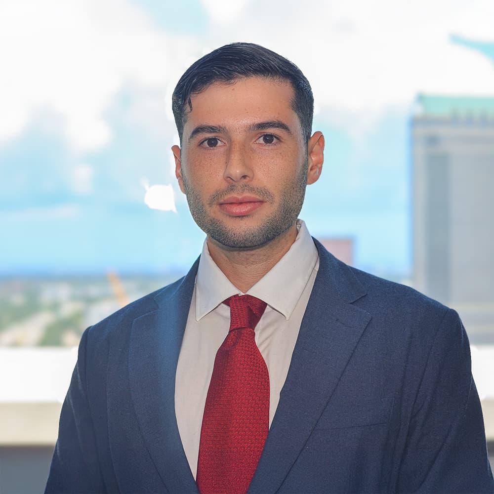 Image of Levi Veleanu