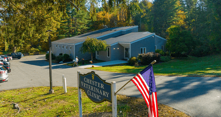 Image of CHESTER VETERINARY CLINIC Property