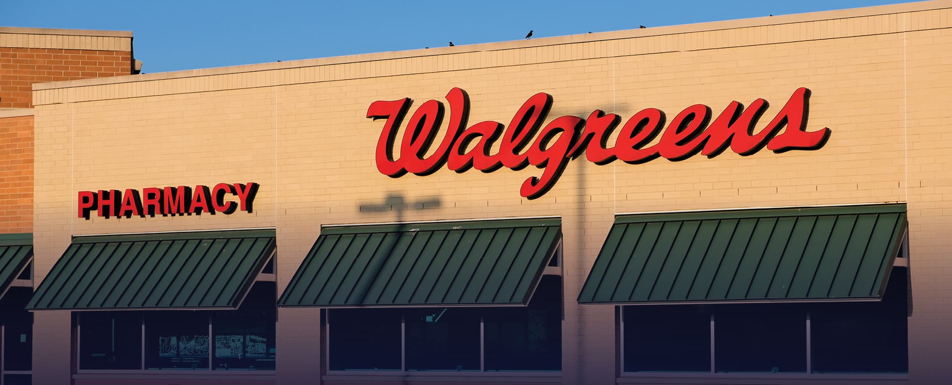 Q225 Florida Drugstore Tenant Report image