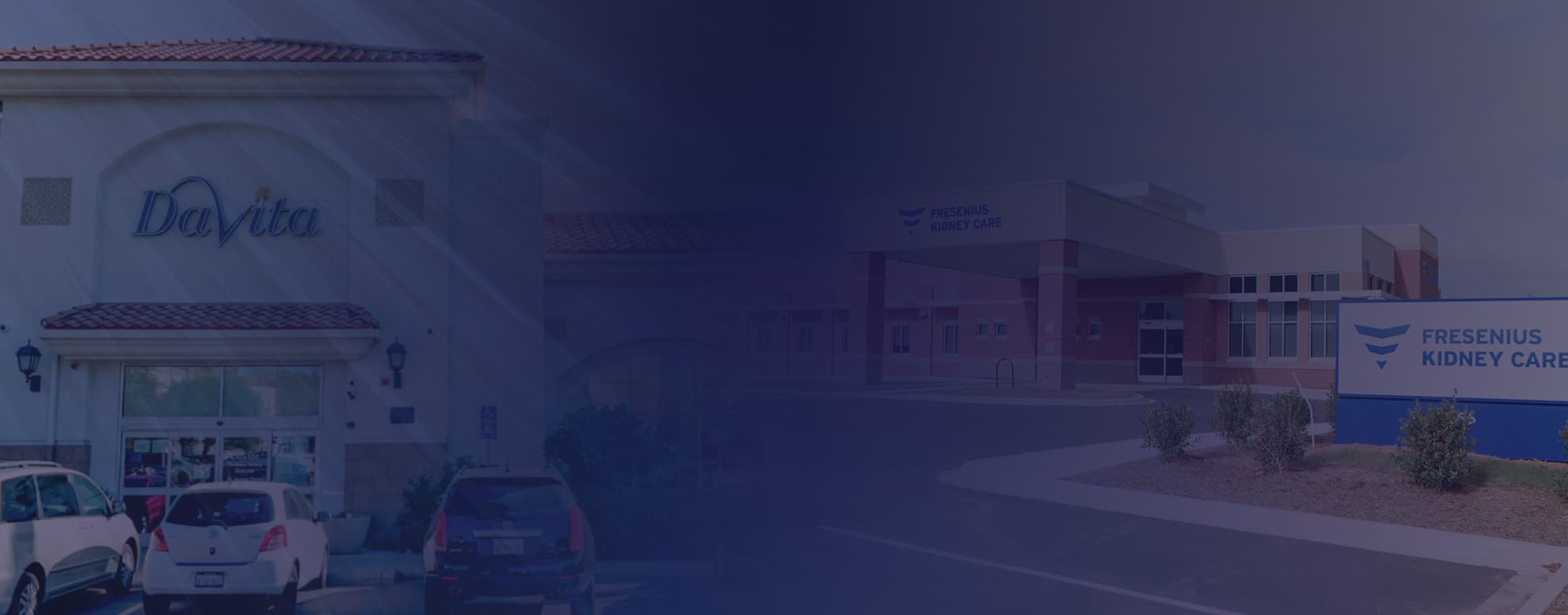 2024 DaVita & Fresenius Tenant Report image