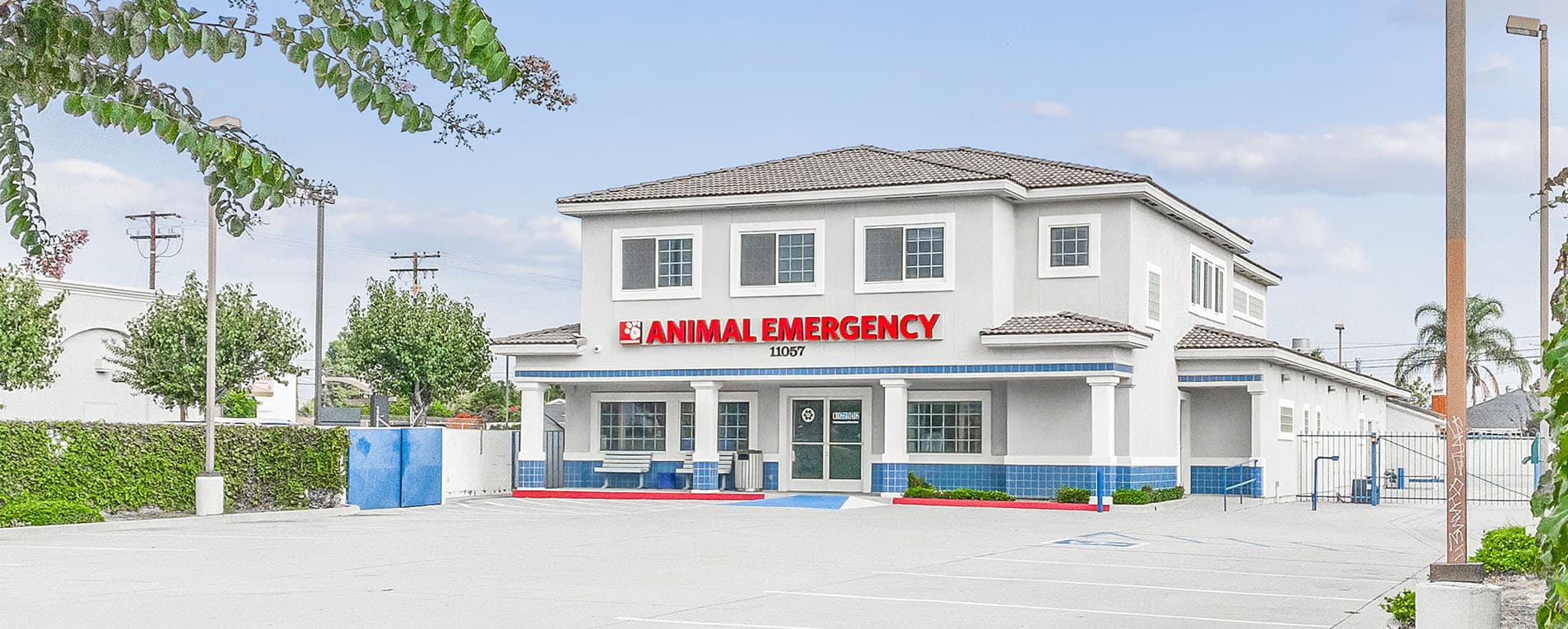 Case Study: Pathway Vet Alliance featured image