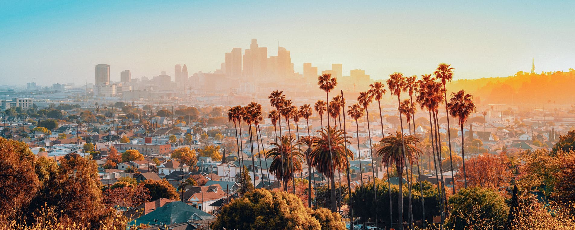 Matthews™ Firms and Brokers Recognized by CoStar Power Broker Awards featured image